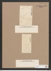 Navicula sp. (de-Toni-Nr.: Genus 1) Zeichnungen Sammlung Grunow Nr. 1591 (NHMW-BOT-W0368131)